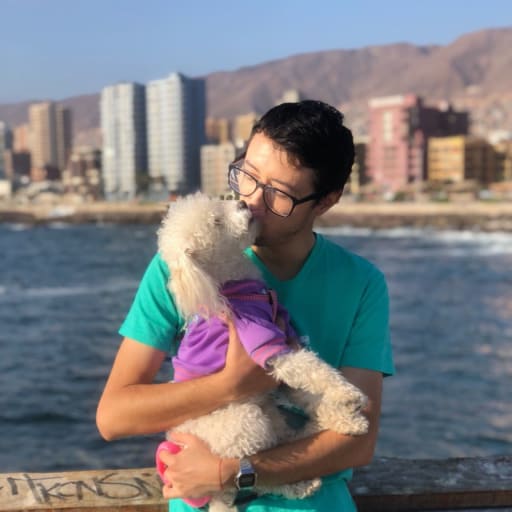 Profile image for pet sitter Pablo