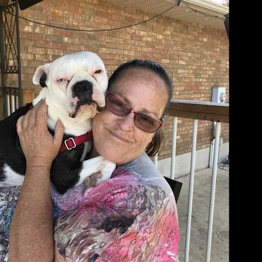 Profile image for pet sitter Elaine