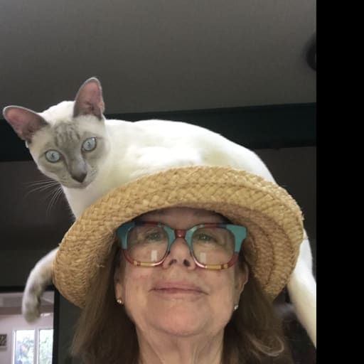Profile image for pet sitter Katherine