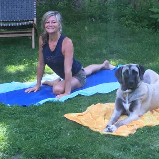 Profile image for pet sitters Nicola & Jeff