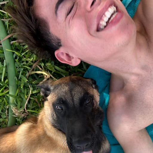 Profile image for pet sitter Vicenç