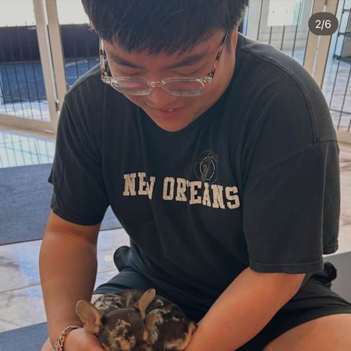 Profile image for pet sitter Seung