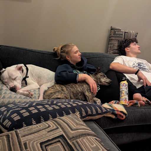 Profile image for pet sitters Holly & Ben