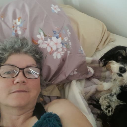 Profile image for pet sitter Alison