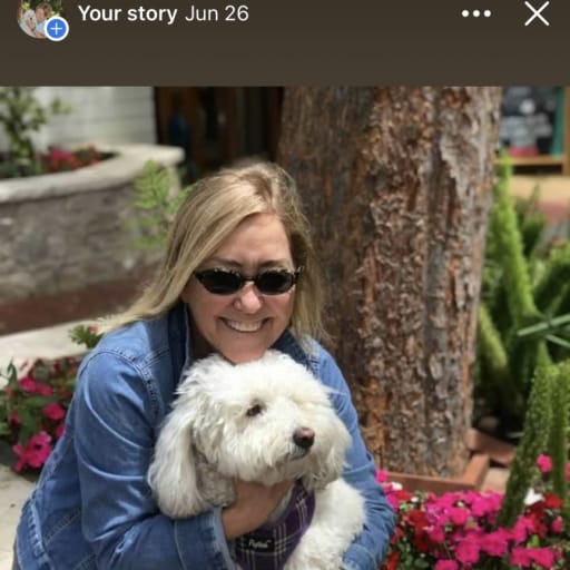 Profile image for pet sitter Kathleen