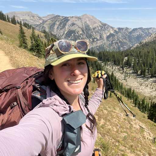 Profile image for pet sitter Drew