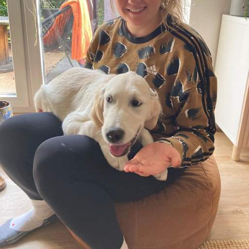 Profile image for pet sitter Annika
