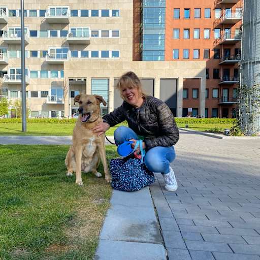 Profile image for pet sitter Ingeborg