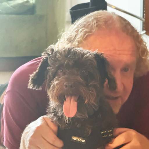 Profile image for pet sitter Daniel