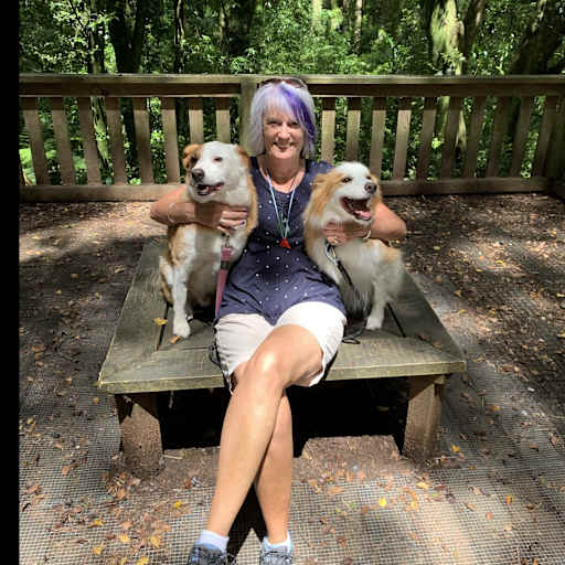 Profile image for pet sitter Judy