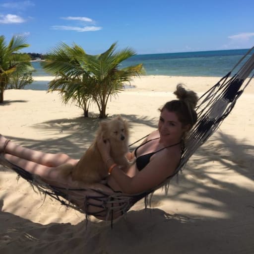 Profile image for pet sitter Laura