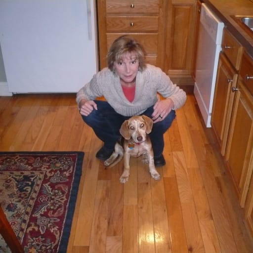 Profile image for pet sitters Jodi & Wanda