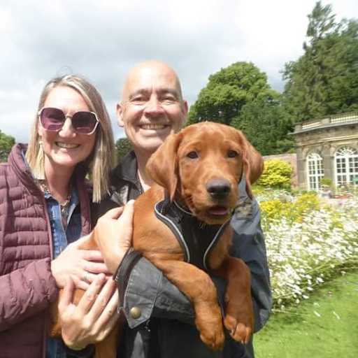 Profile image for pet sitters Michelle & David