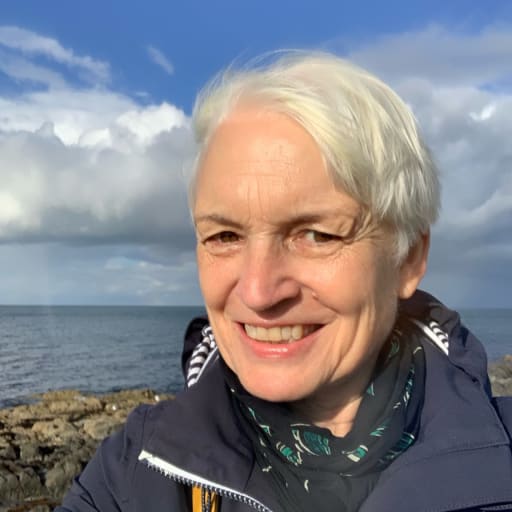 Profile image for pet sitter Sarah