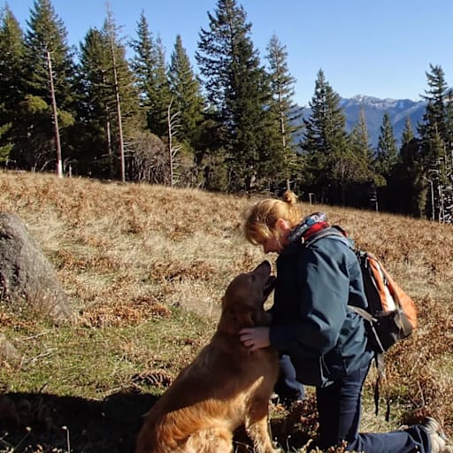 Profile image for pet sitter Sandra