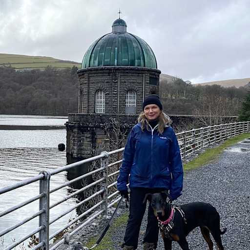 Profile image for pet sitter Shane