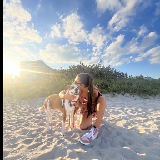 Profile image for pet sitter Selin Mujde