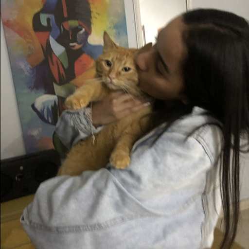 Profile image for pet sitter Joice