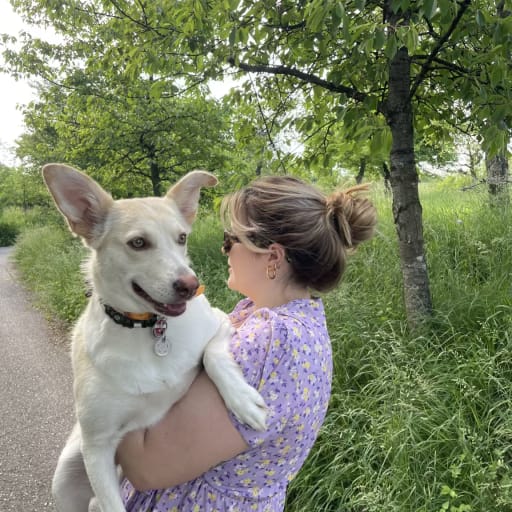 Profile image for pet sitter Hanna