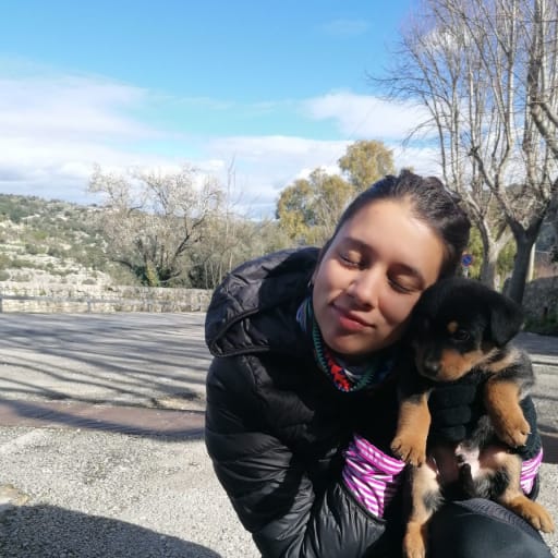Profile image for pet sitter María Paz