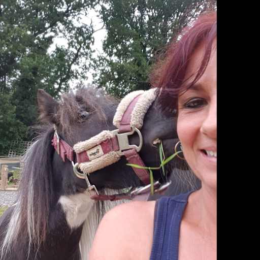 Profile image for pet sitter Sandra