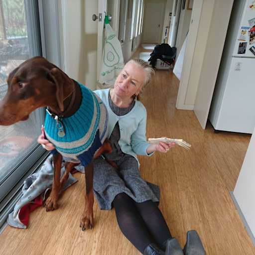 Profile image for pet sitter Liz