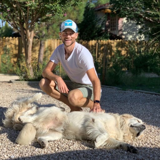 Profile image for pet sitter James