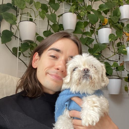 Profile image for pet sitter Antoine