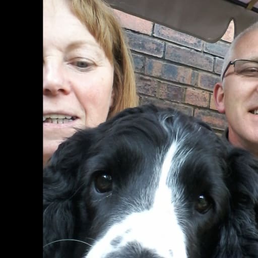 Profile image for pet sitters David & Sheila