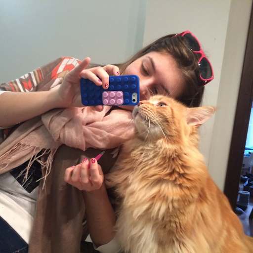 Profile image for pet sitter alice