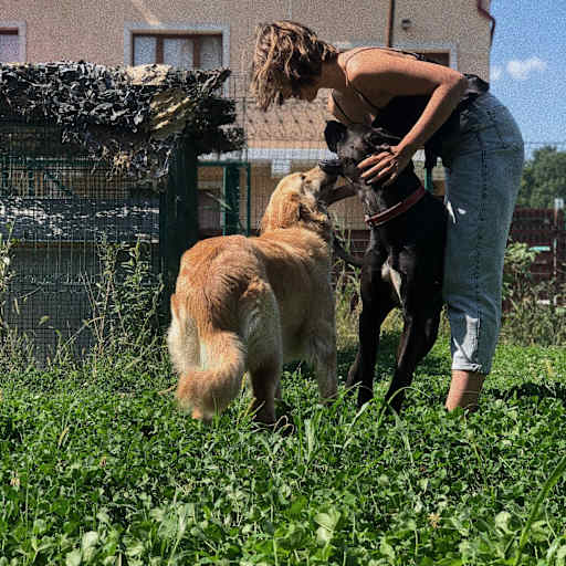 Profile image for pet sitter Maria