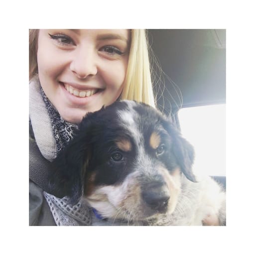 Profile image for pet sitters Amanda & Joshua