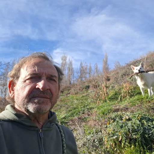 Profile image for pet sitter alberto