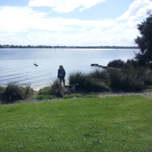 Profile image for pet sitters Karen & Marcus