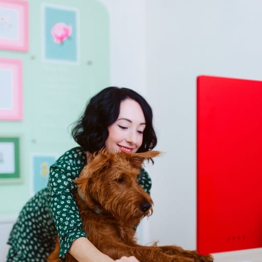 Profile image for pet sitter Ciara