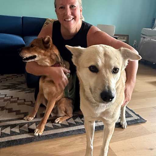Profile image for pet sitter Kimberley
