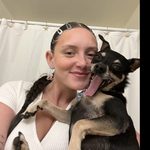 Profile image for pet sitter Isabella