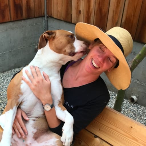 Profile image for pet sitter Sarah