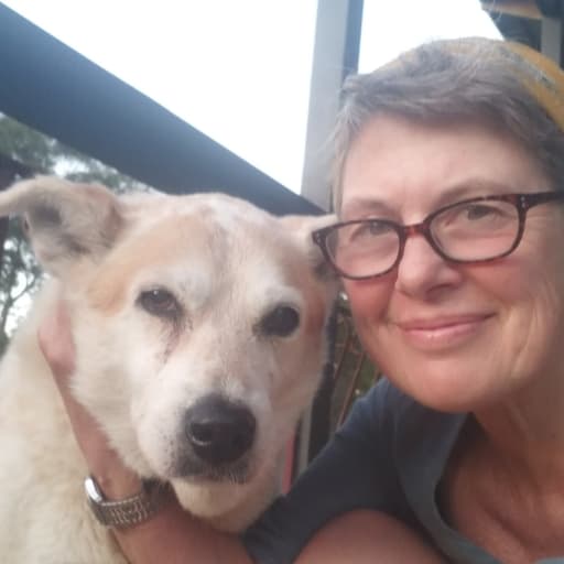 Profile image for pet sitter Linda