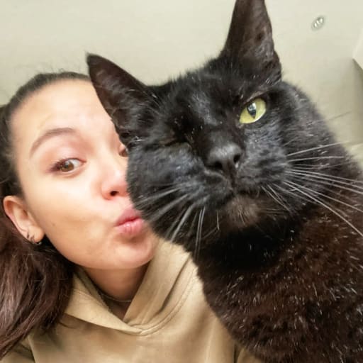 Profile image for pet sitter Kayleigh