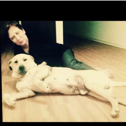 Profile image for pet sitter Olena