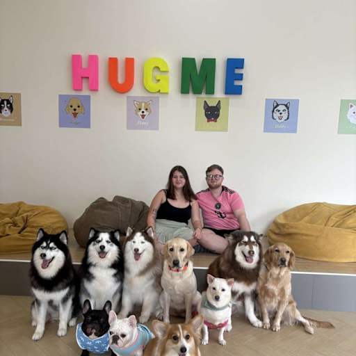 Profile image for pet sitters Owen & Rachel