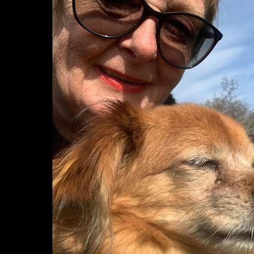 Profile image for pet sitter Denise