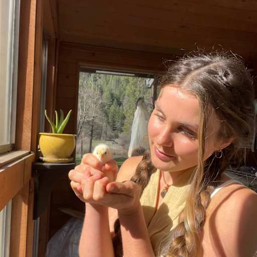 Profile image for pet sitters Emma & Brock