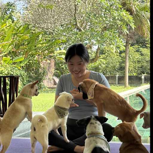 Profile image for pet sitter Chaeyun