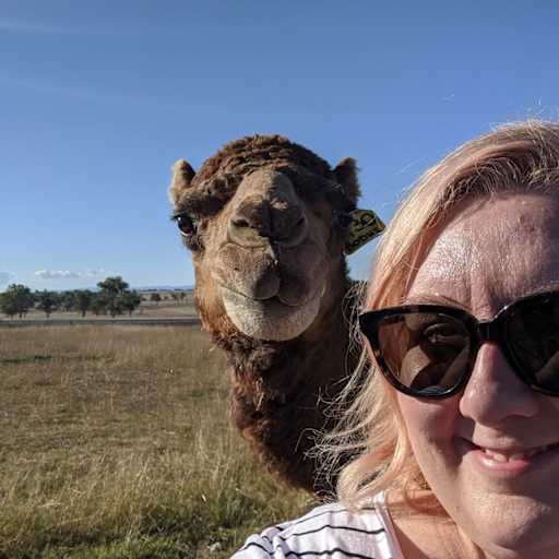 Profile image for pet sitter Kathryn
