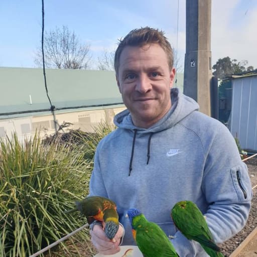 Profile image for pet sitter Daniel