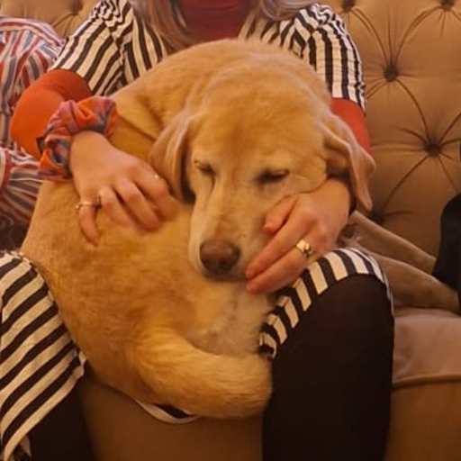 Profile image for pet sitter Hannah