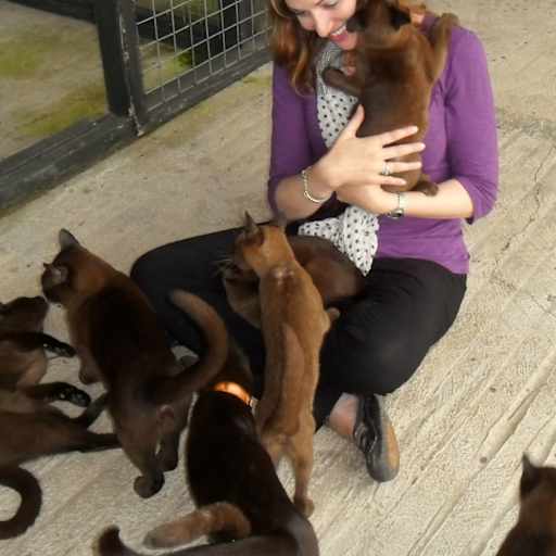 Profile image for pet sitter Holly
