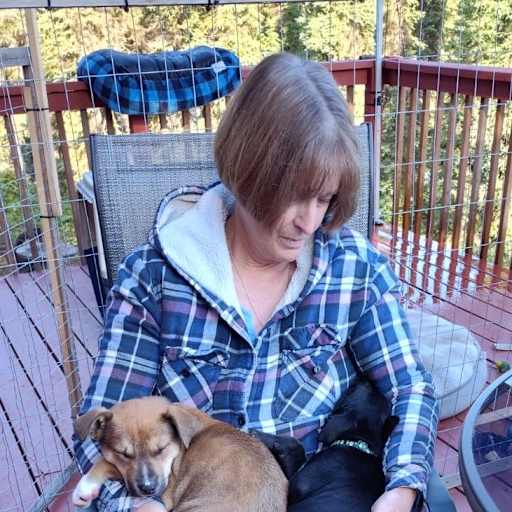 Profile image for pet sitters JANE & David